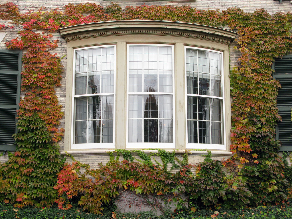 bay windows installation middleton id